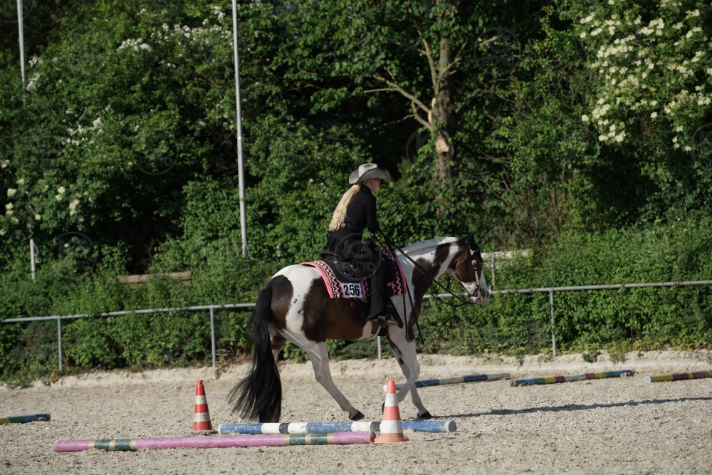 s_APF06975.jpg